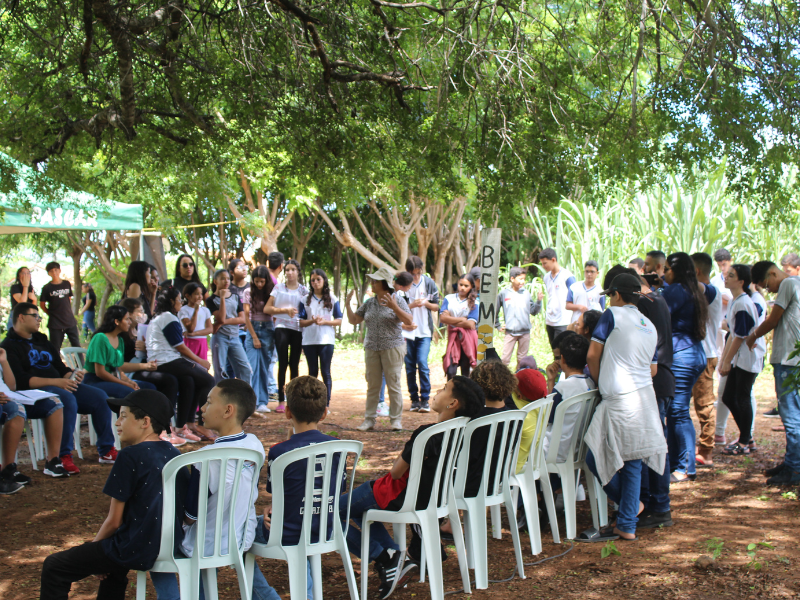 Grupo De Estudos De Educa O Em Solos Promove A Es Em Comemora O Ao