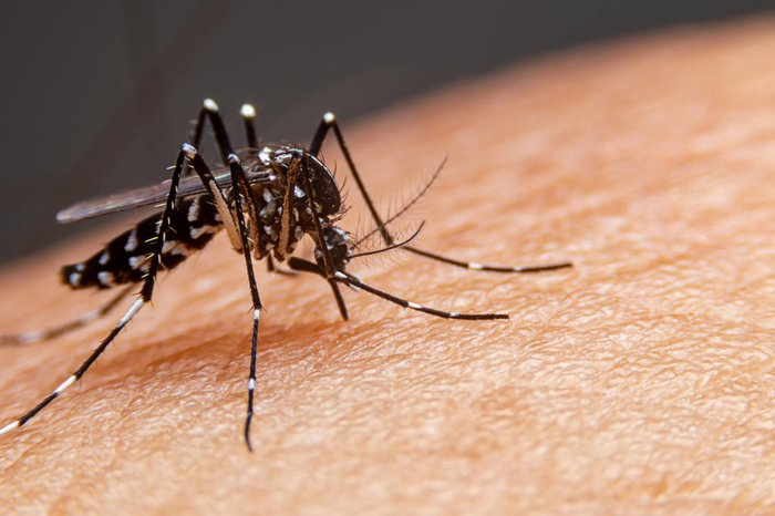 Cariri registra registra primeira morte por dengue em 2025 na Paraíba