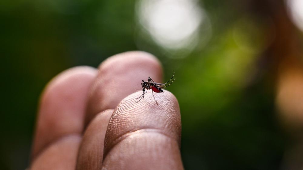Saúde confirma quarta morte por chikungunya e quinta por dengue, na Paraíba; estado tem 187 cidades em alerta