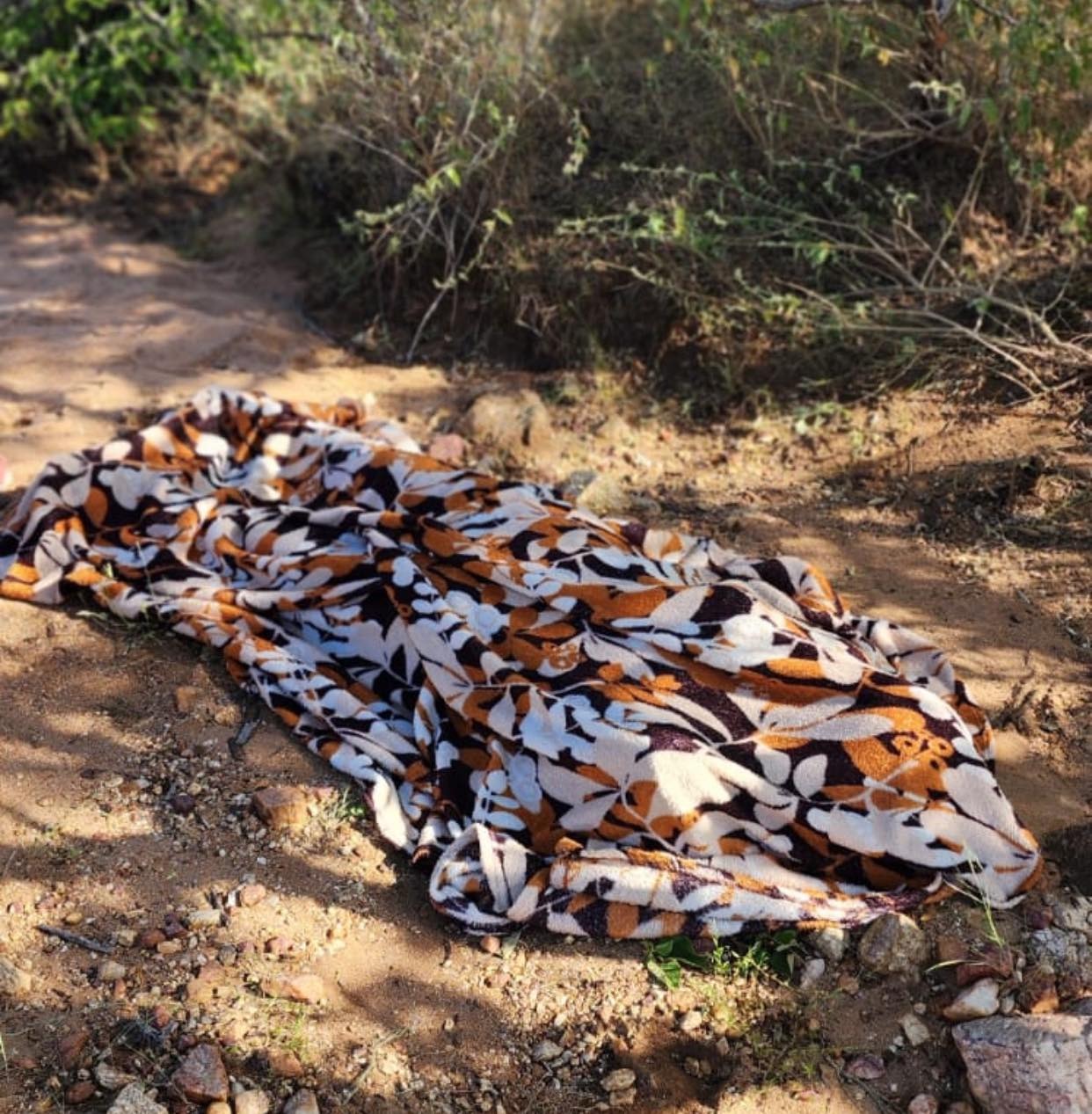 Agricultor de 42 anos morre vítima de choque elétrico em Gurjão