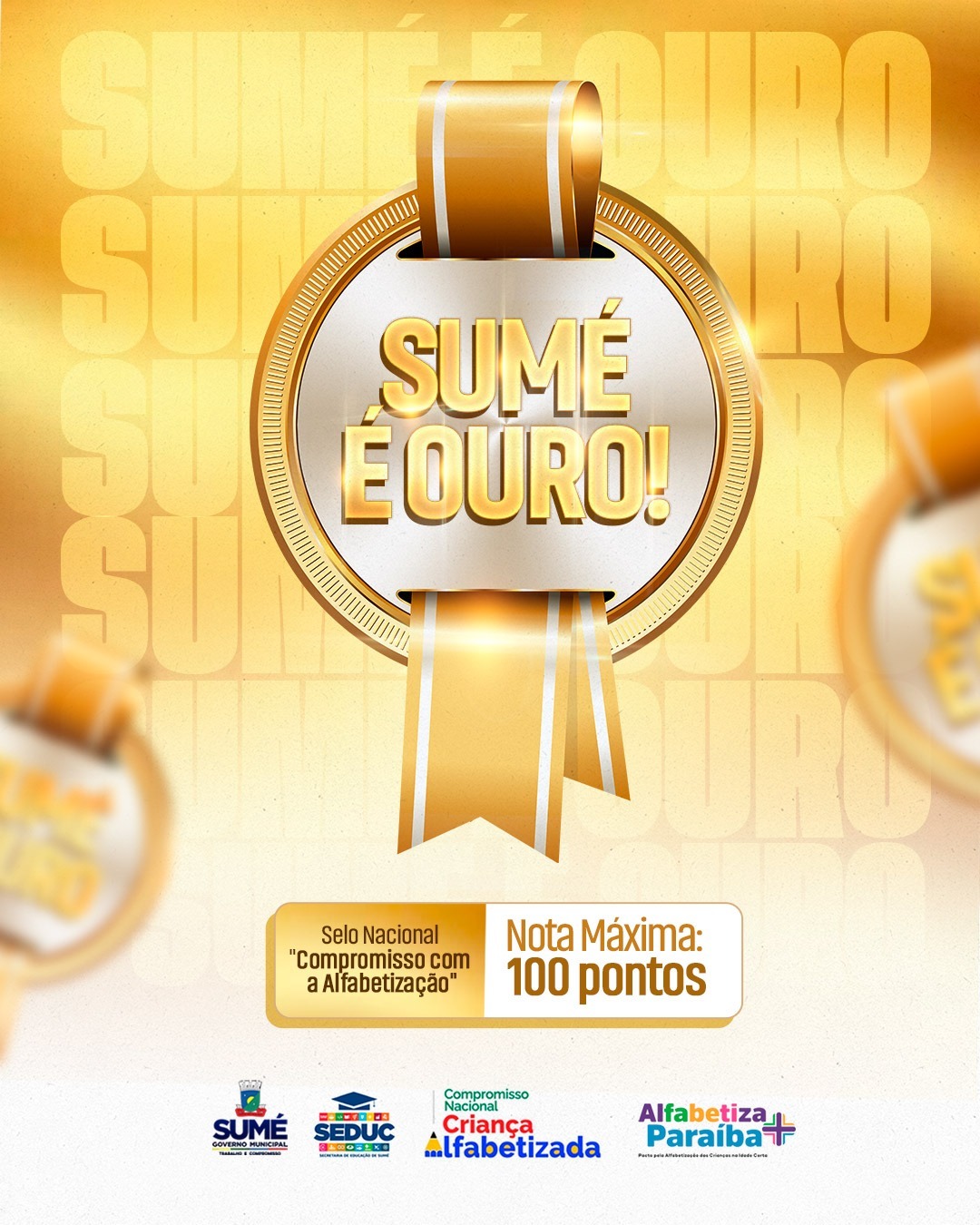 INFORME PUBLICITÁRIO: Educação de Sumé conquista Selo Ouro de Alfabetização Infantil