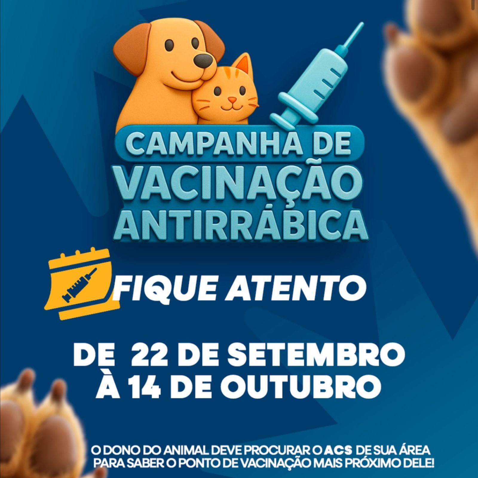 Prefeitura de Livramento inicia campanha de vacinação antirrábica