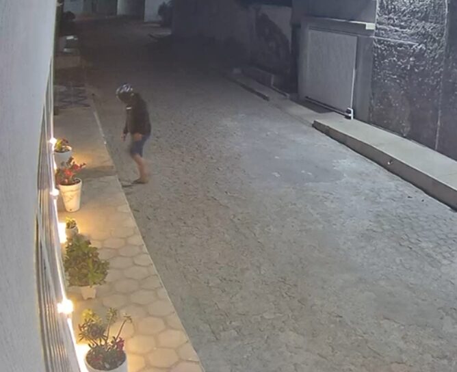 Câmeras registram furto inusitado de planta em residência no centro de Monteiro