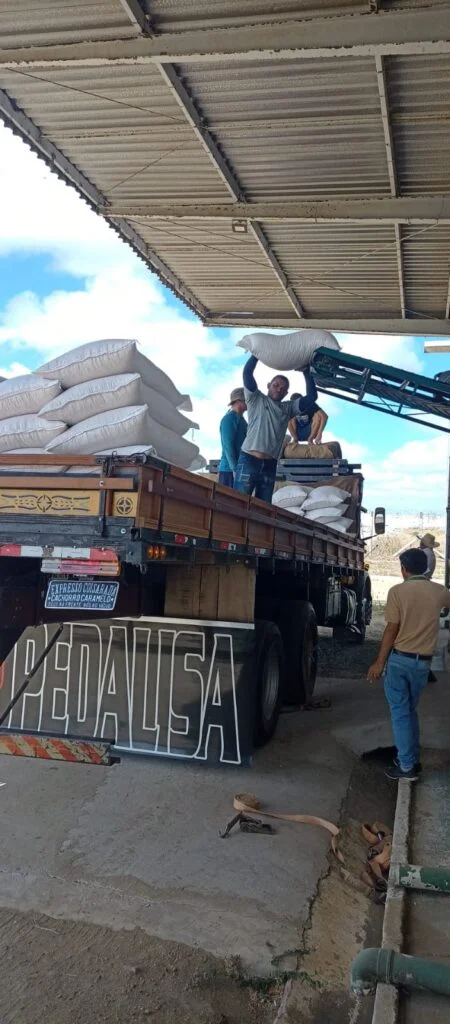 Prefeitura de São Domingos do Cariri conclui entrega de milho a produtores rurais
