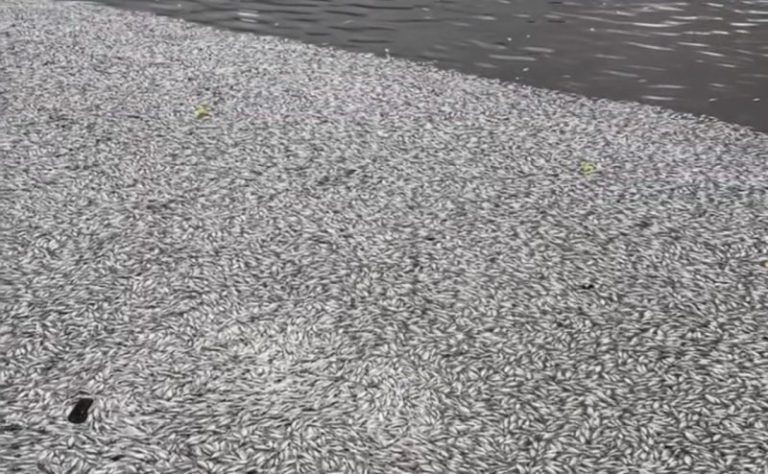 MPPB abre inquérito para investigar poluição ambiental no Açude Velho, em Campina Grande