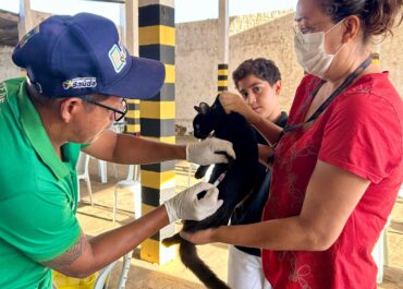 Sumé realiza Dia D de bem-estar animal com vacinação, testes e cadastro para castração