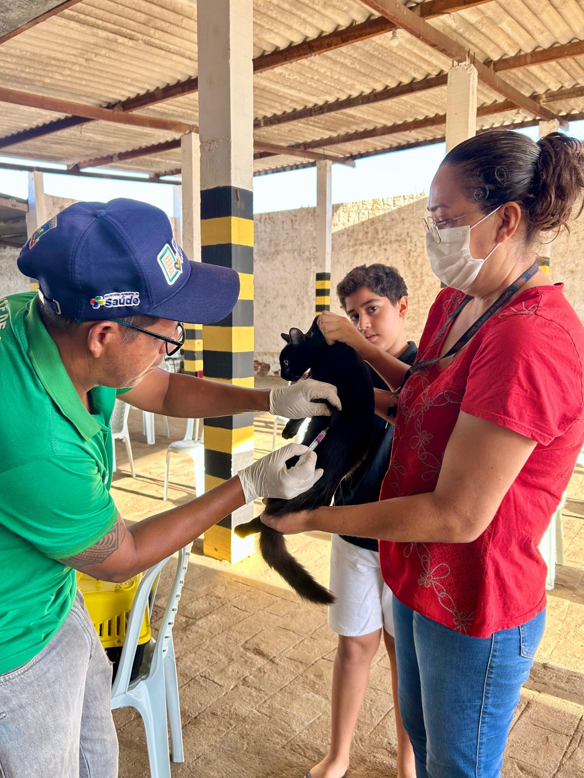 Sumé realiza Dia D de bem-estar animal com vacinação, testes e cadastro para castração