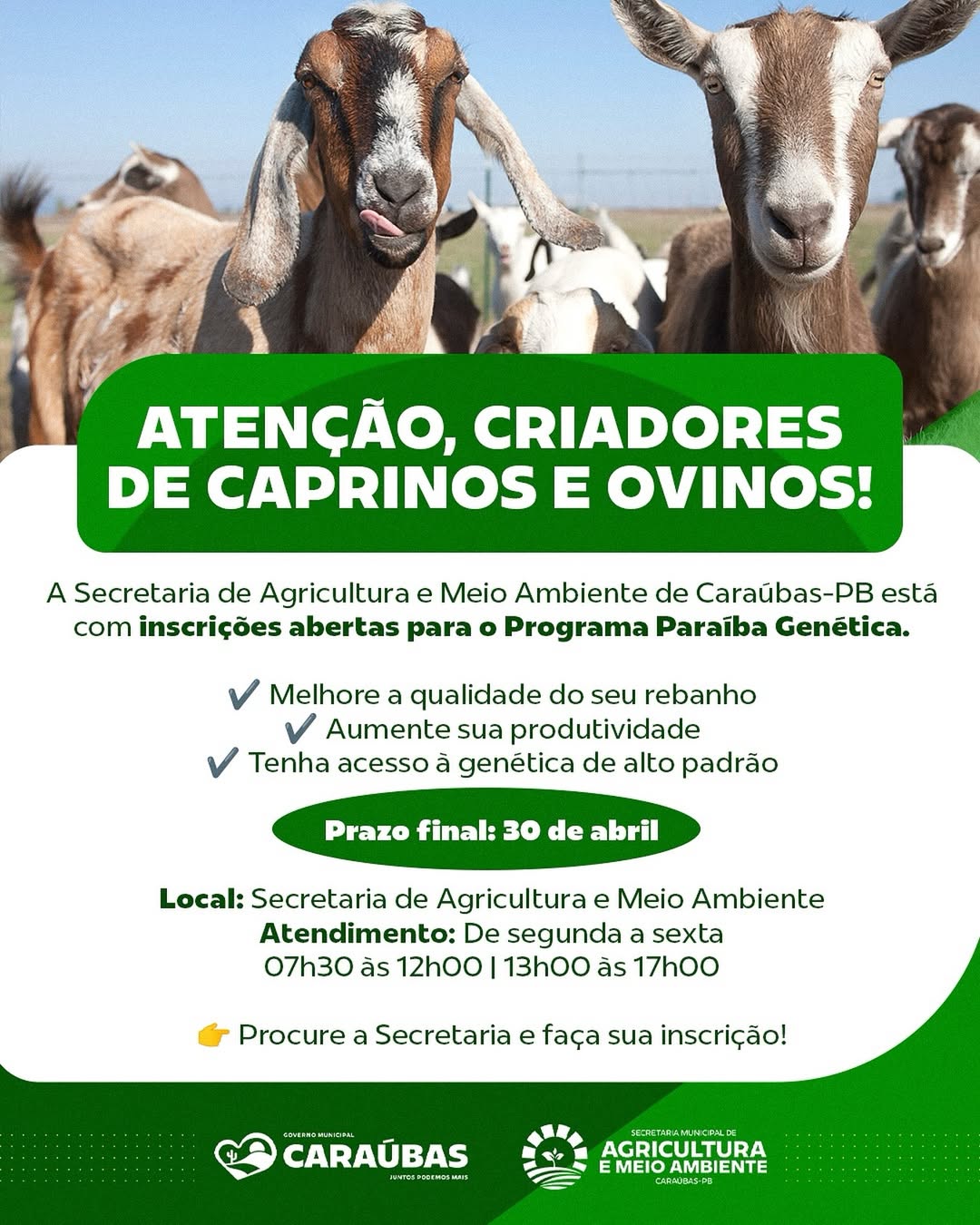 Caraúbas abre inscrições para Programa Paraíba Genética voltado a criadores de caprinos e ovinos